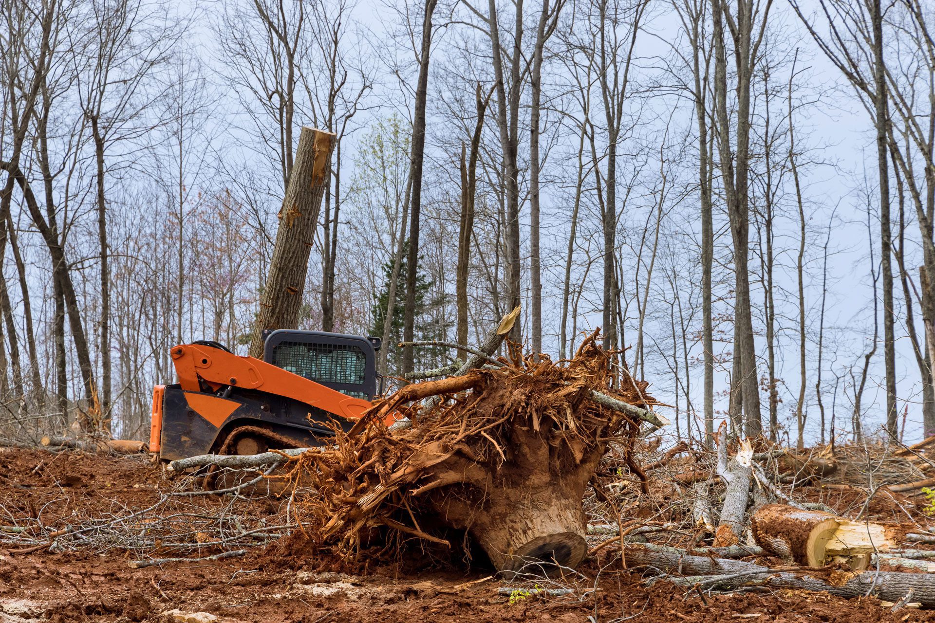 construction workers clearing land