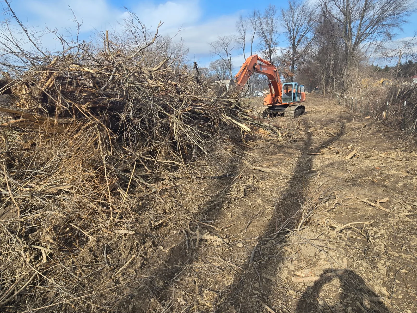 Land Clearing NWI Asphalt excavator clearing trees, brush and vegetation during commercial land preparation for a future construction project.